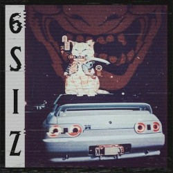6SIZ