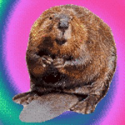 Why, Shadow? Why?!?!