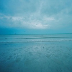 Le Courage des Oiseaux