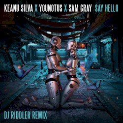 Say Hello (DJ Riddler mix)