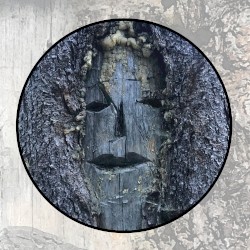 Moonlit Missive #94: 'Sour Wine'