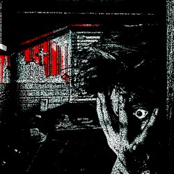 With Rob as My Witness