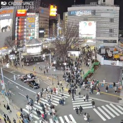 【LIVE(固定)】新宿猫の目線（新宿駅東口） ライブカメラ 195 watching now Started streaming on Nov 30, 2021