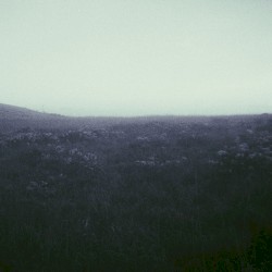 アンディーヴと眠って (demo)