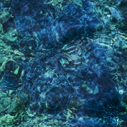 Luminescent Creatures