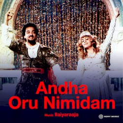 Andha Oru Nimidam