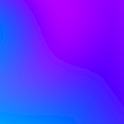 Schildkröten sonnen sich