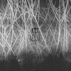 Dreams Are From the Deep Dark. Keep Listening and Seeing. They Are Waiting for the Tendrils in Your Brain to Spark the Eternal Fire.