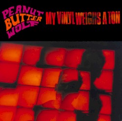 My Vinyl Weighs a Ton