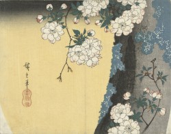 Merry Christmas, Mr Lawrence