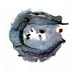 Shelter