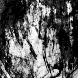 The Face of Vehemence