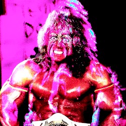 ULTIMATE WARRIOR