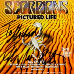 Pictured Life: All the Best