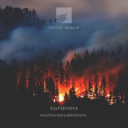 Save Siberian Forests