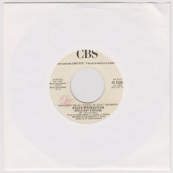 Brilliant Disguise / Fake