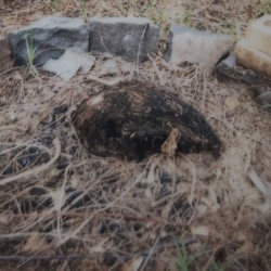 charred remnants, years i forgot