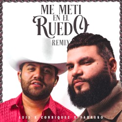 Me metí en el ruedo (remix)