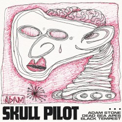 Skull Pilot