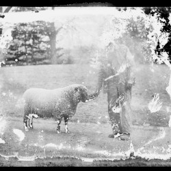 The Politics of Cultural Despair