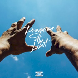 Disguise The Limit