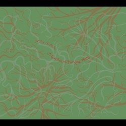A Garden of Forking Paths