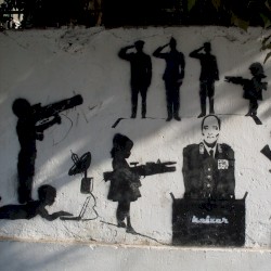 Silverback Guerrillas