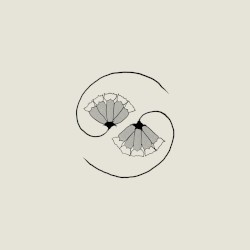 G_d’s Pee AT STATE’S END!