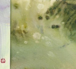 This Growing Clearing