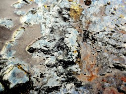 Another Wet Clay Morning