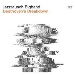 Beethoven's Breakdown