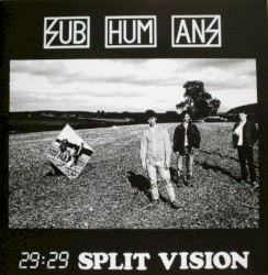 29:29 Split Vision