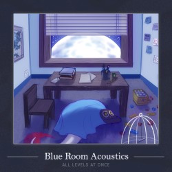 Blue Room Acoustics