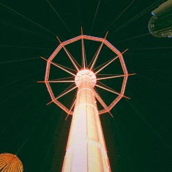 生きてる方がかわいいよ