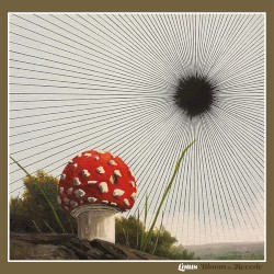 Bloom & Recede
