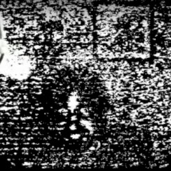 you should try it! (demo)