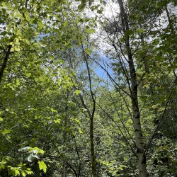 This Body Is a Prison