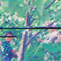 Thuja IV