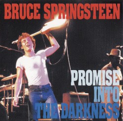 Promise Into the Darkness