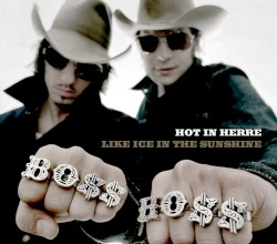 Hot in Herre/ Like Ice in the Sunshine