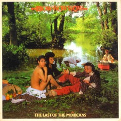 The Last of the Mohicans