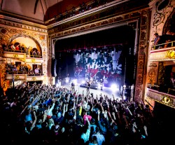 Live at the Apollo for One Night Only