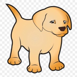 welcome cutie tooth!!!