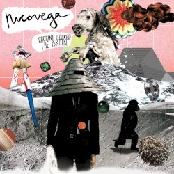 Cocaine Cooked the Brain