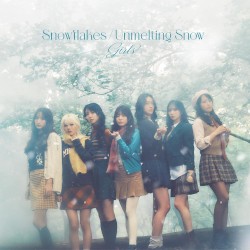 Snowflakes / Unmelting Snow