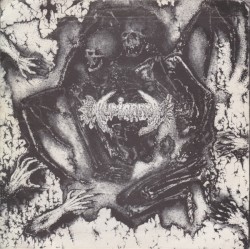 Audiorrea / Agathocles