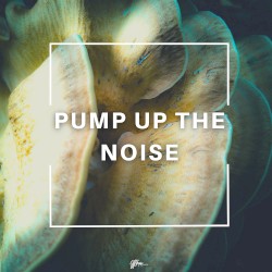Pump Up The Noise
