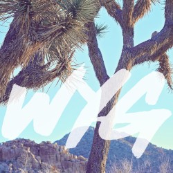 Wyg