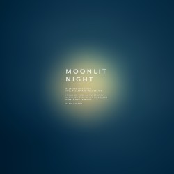 Moonlit Night