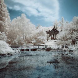 幽霊の庭園 (Garden of Ghosts)